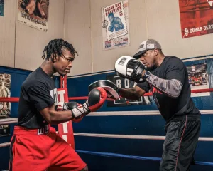 Лапи боксерські TITLE Boxing Attack “Big-T” Punch Mitts 2,0 White/Black