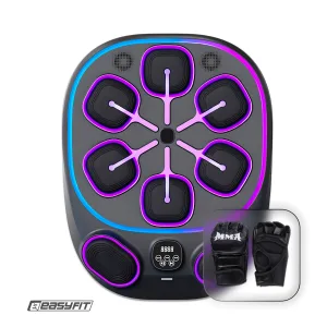 Настінний боксерський тренажер EasyFit з аперкотами (музичний бокс)