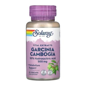 Garcinia Cambogia Fruit Ext 500 мг - 60 капсул