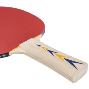 Ракетка для настільного тенісу Donic Appelgren 300 Original
