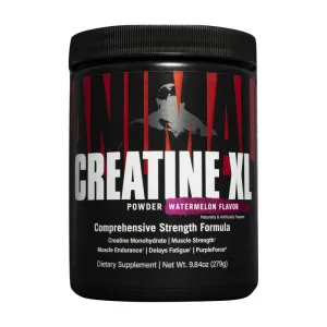 Creatine XL - 279 г, фрукт пунш