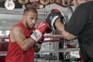 Лапи боксерські TITLE Boxing Aerovent Excel Incredi-Mitts 2,0 Black/Red/White