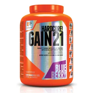Hardcore Gain21 - 3 кг Чорниця