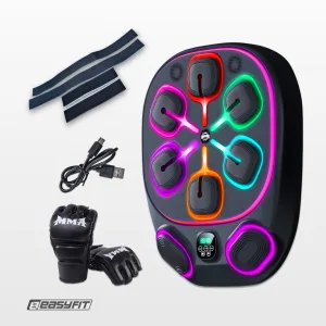 Настенный боксёрский тренажер EasyFit с апперкотами (музыкальный бокс)