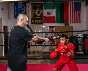 Палиці для боксу (лападани тренерські) TITLE Boxing Precision Training Sticks 2,0 Black