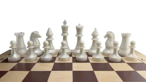 Шахи дерев'яні з пластиковими фігурками 43х43 см