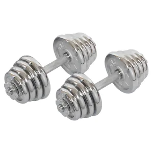 Гантелі розбірні хромовані 2 шт по 13.5 кг