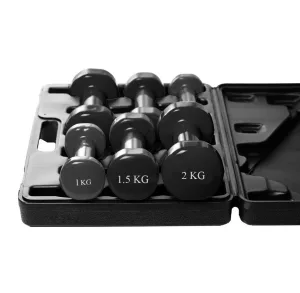 Набір гантелей в кейсі 9 кг. PowerPlay 4121 Fitness Dumbells (2шт.*1 кг. 2шт.*1,5 кг. 2шт.*2 кг.)