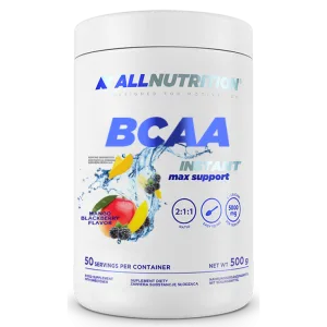 BCAA Max Support Instant - 500 г Манго Ожина (До 10.26)