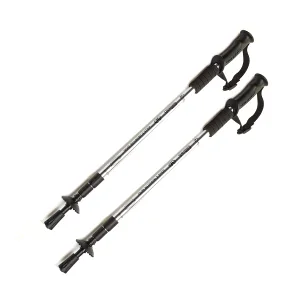Трекінгові палиці з прямою ручкою Sport TG2019-2GRAY сірий