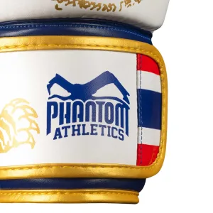 Боксерські рукавиці Phantom Muay Thai Gold Limited Edition 10 унцій (капа в подарунок)
