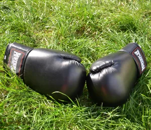 Боксерські рукавиці PowerPlay 3004 Classic Чорні 8 унцій