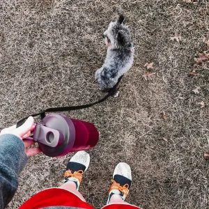 Шейкер спортивний BlenderBottle Classic Loop 590 мл сливовий