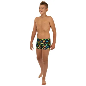 Плавки боксеры для мальчиков для плавания динозавры 6-8 лет черный 6