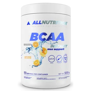BCAA Max Support Instant - 500 г Апельсин