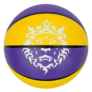 М'яч баскетбольний Nike Playground 2.0 8P L James Deflated Court Purple/Amarillo/Black/White розмір 6 N.100.4372.575.06 (оригінал)