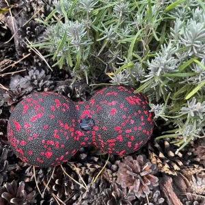 Масажний м'яч подвійний PowerPlay PP-4352 Epp foam peanut ball (d8*16cm.) чорно/червоний