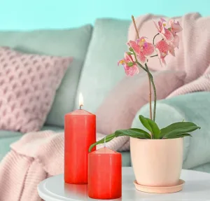 Набір свічок 4 шт. циліндр червоні sw50/4