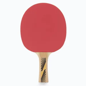 Ракетка для настільного тенісу Donic-Schildkrot Legends 300 FSC 705234 (Оригінал)