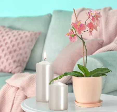 Набір свічок 4 шт. циліндр білий перламутр sw50/4