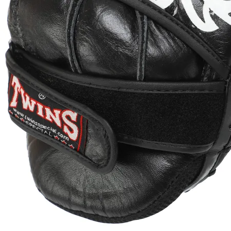 Лапа для єдиноборства TWN 2 шт TW4 синій