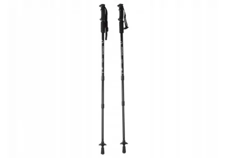 Палиця для скандинавської ходьби EasyFit Energia чорна