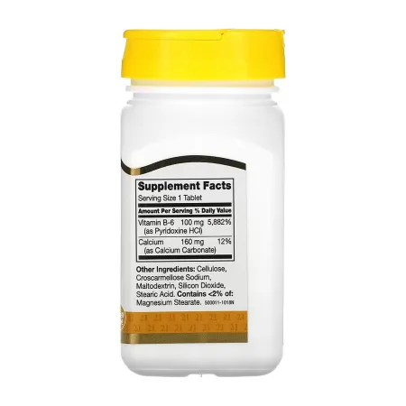 B-6 100 мг - 110 таблеток