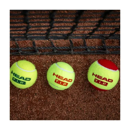 М'ячі для тенісу Head TIP Orange 3B банку 3 шт 578123 (оригінал)