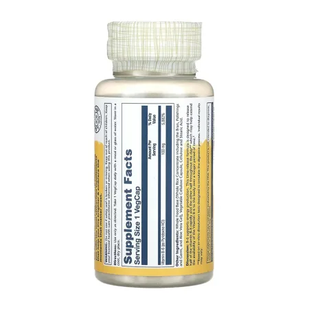 Vitamin B-6 Timed-Release 100 мг - 60 капсул