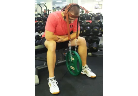 Harness EasyFit BISON brown (leather)