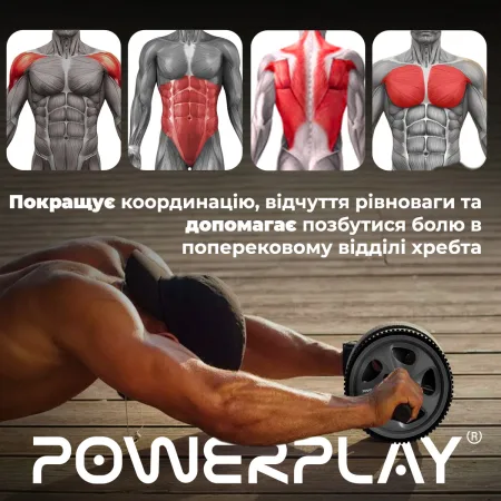 Колесо для пресса PowerPlay PP-4345 Exercise Wheel (d16,5см.) серое