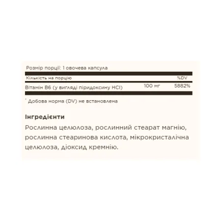 Vitamin B6 100 мг - 100 капсул