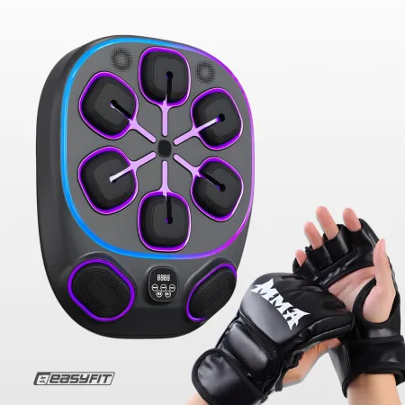 Настенный боксёрский тренажер EasyFit с апперкотами (музыкальный бокс)