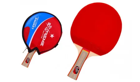 Ракетка для настільного тенісу Extreme Motion TT2118