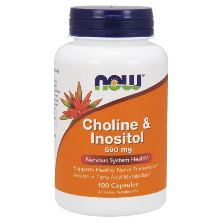 Choline & Inositol 500 мг - 100 капсул