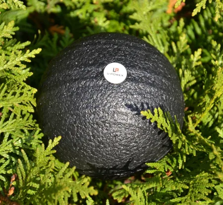 Масажний м'яч U-POWEX Epp foam ball (d10.) Black