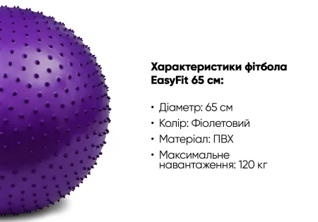 М'яч для фітнесу EasyFit 65 см фіолетовий (фітбол масажний)