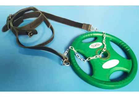 Упряж EasyFit BISON чорна (шкіра)