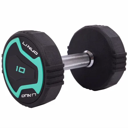 Гантель цільна професійна LI NUO 1 шт 10 кг