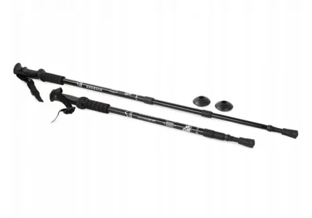 Палиця для скандинавської ходьби EasyFit Energia чорна