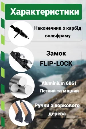Палиці для скандинавської ходьби PowerPlay 9111 Lykke Green 80-135 см (пара) + 2-ві пари чобітків + чохол