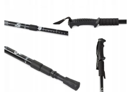 Палиця для скандинавської ходьби EasyFit Energia чорна