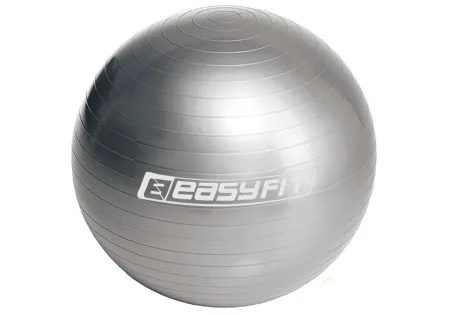 М'яч для фітнеса EasyFit 55 см сірий