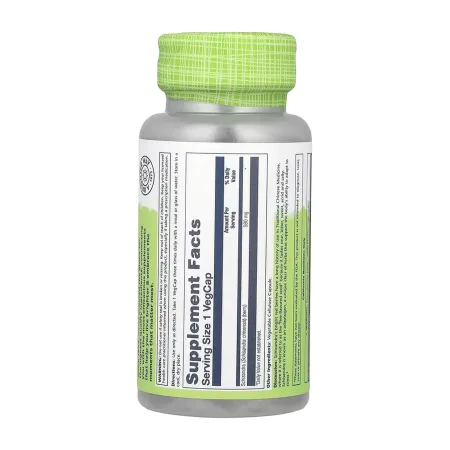 Schizandra Berry 580 мг - 100 капсул