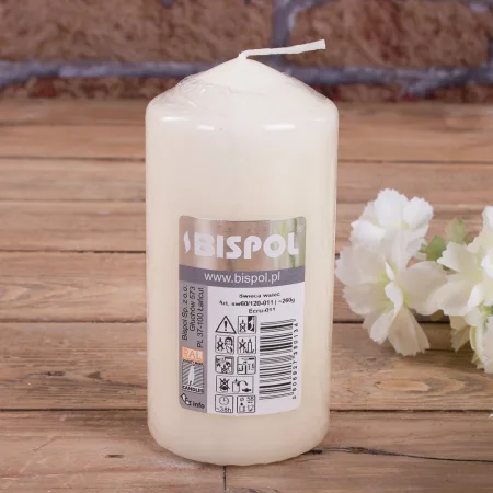 Свічка столова циліндр Bispol sw60/120 090 білий