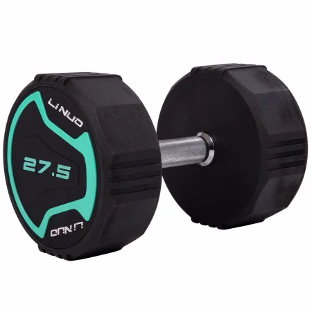 Гантель цільна професійна LI NUO.5 1 шт 27.5 кг