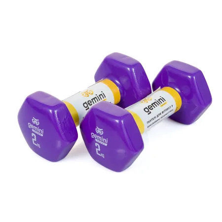 Гантелі Sport для фітнесу з вініловим покриттям 2 шт по 2.0 кг GSD-2.0PUR