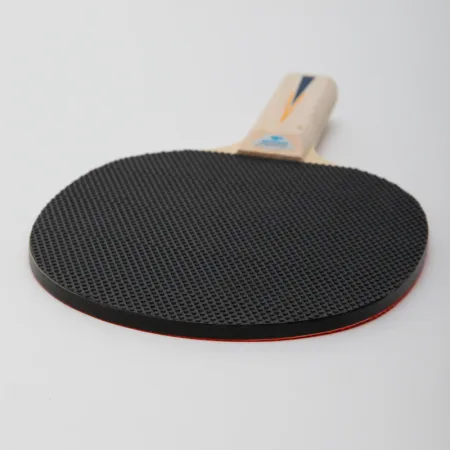 Ракетка для настільного тенісу DONIC APPELGREN 100 (оригінал)