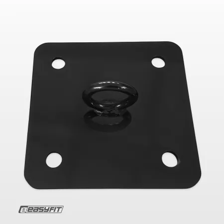 Кріплення для боксерської груші EasyFit стельове