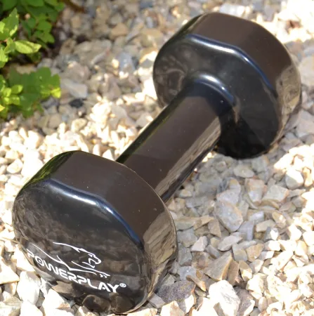 Гантелі вінілові PowerPlay 2 * 1 кг. PP_4121 Чорні (2шт. - пара)